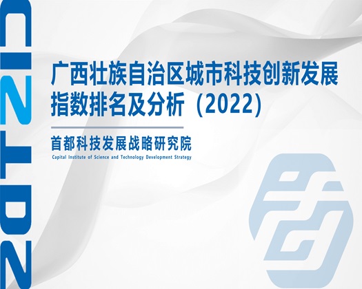 干肥女视频【成果发布】广西壮族自治区城市科技创新发展指数排名及分析（2022）